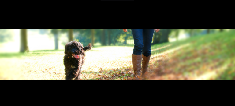 walking with a dog on a path